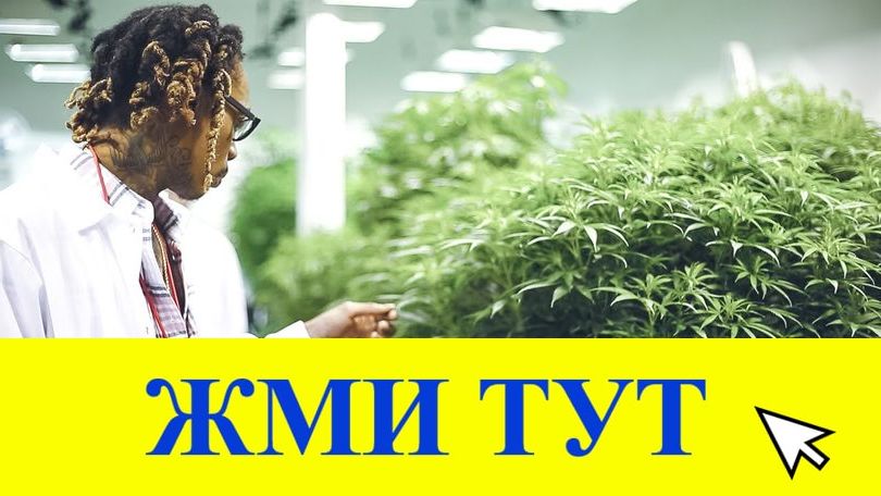 Купить наркотики в Мыски